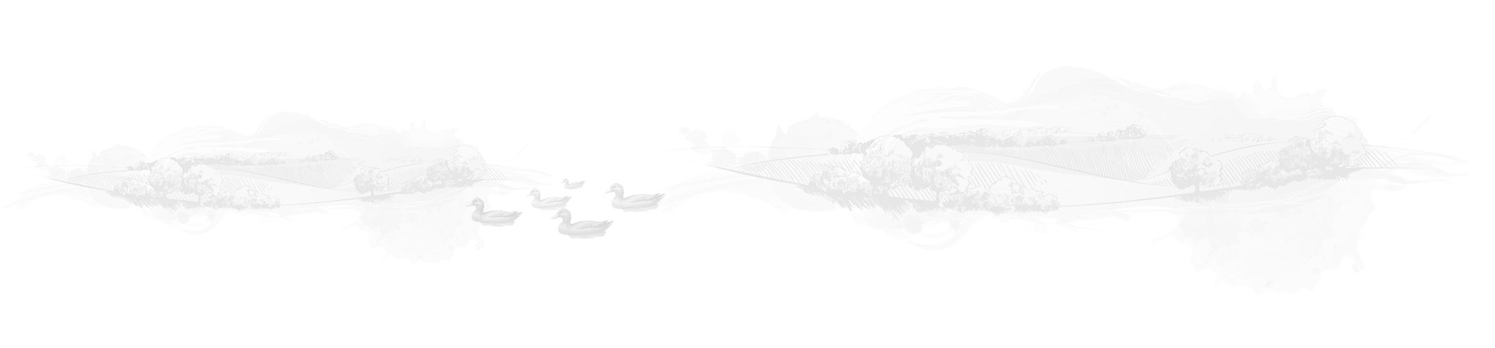 product-background
